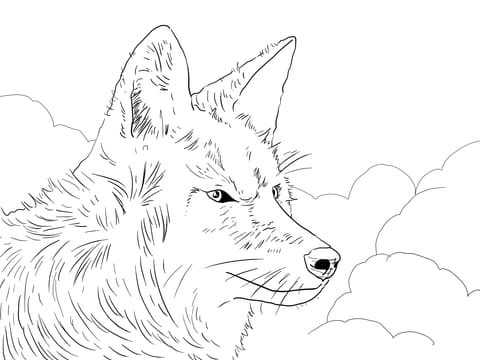 Coyote Head Coloring Page