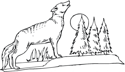 Coyote Howling At The Moon Coloring Page
