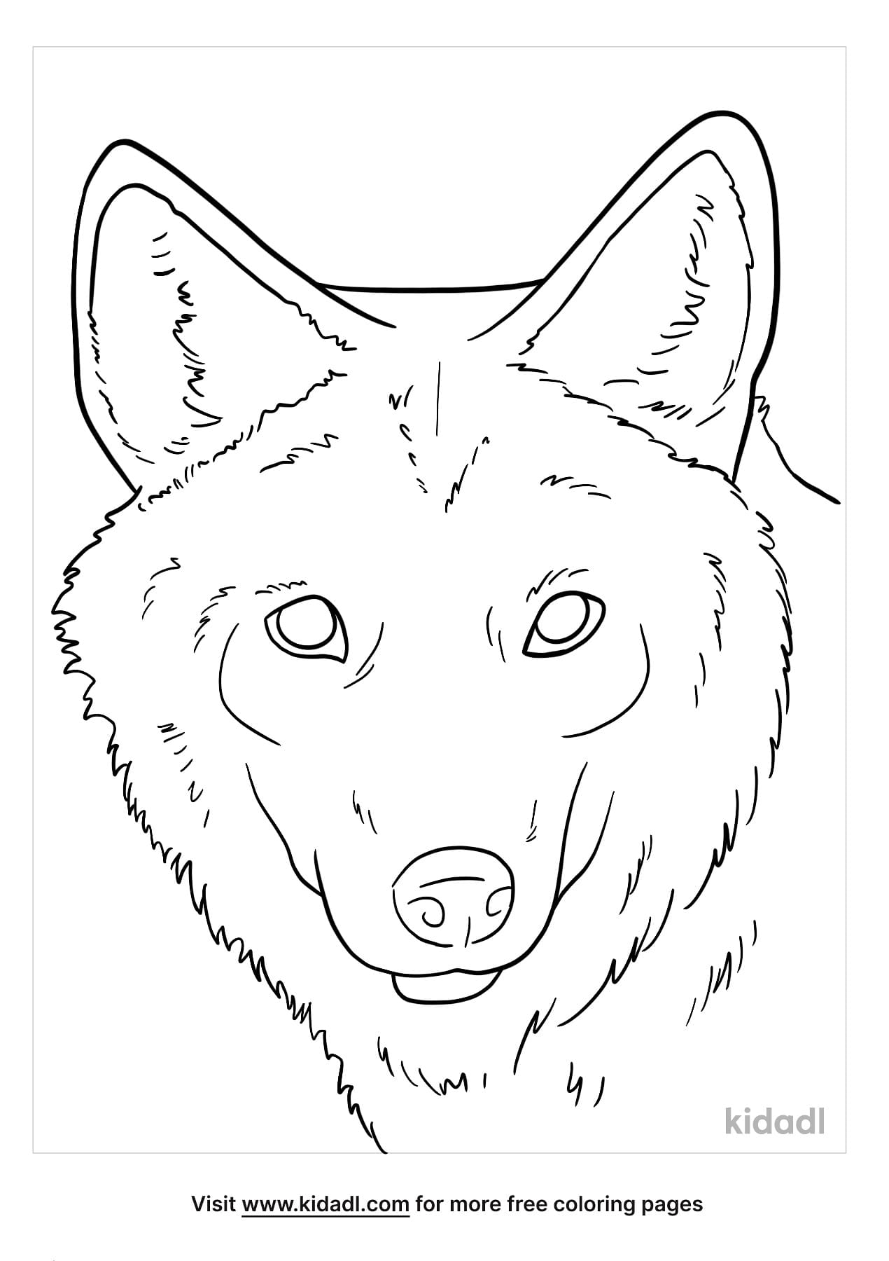 Coyote Face Image Coloring Page