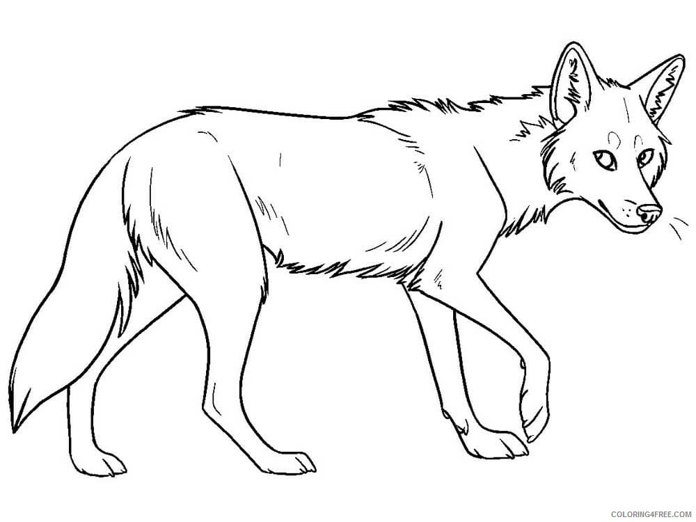 Coyote Image Simple Coloring Page