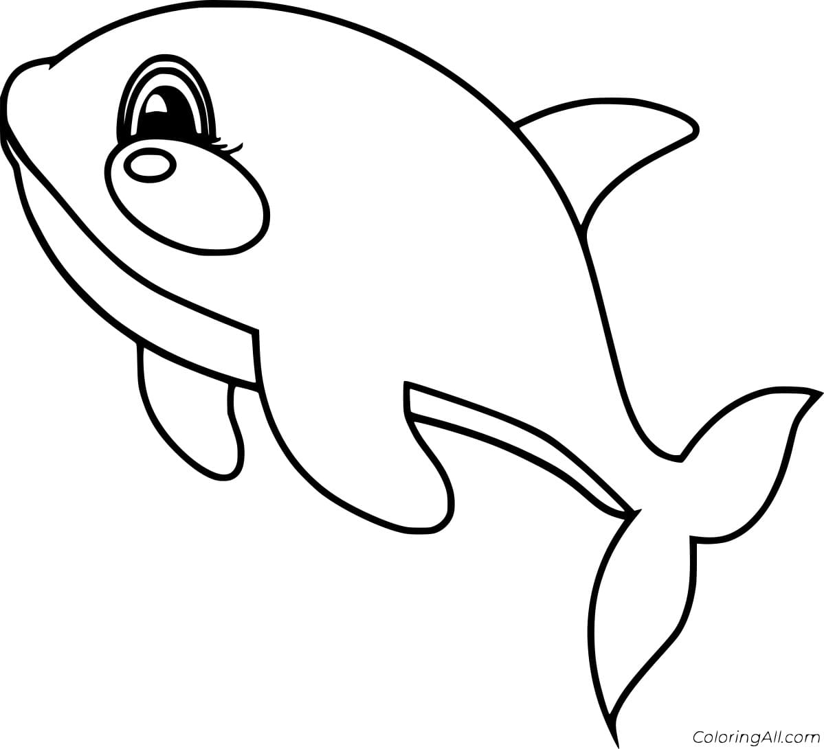 Cute Baby Killer Whale Coloring Page