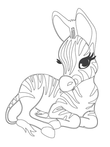 Cute Baby Zebra Free Printable Coloring Page