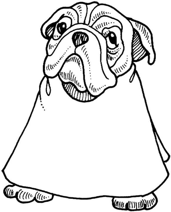 Cute Bulldog For Children Coloring Page