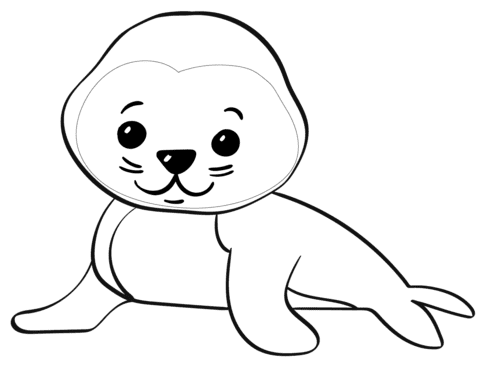 Cute Cartoon Seal Image Coloring Page