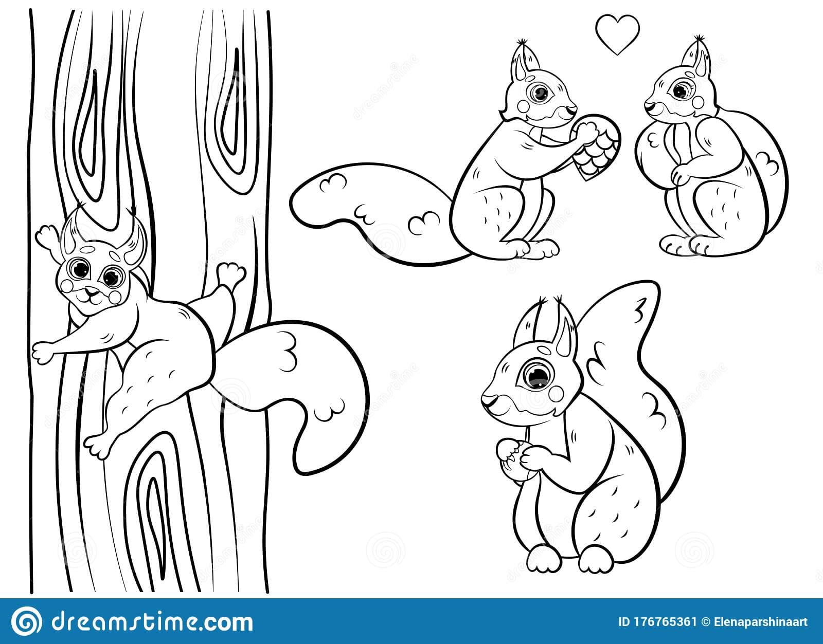 Cute Cartoon Squirrel Vector Coloring Page
