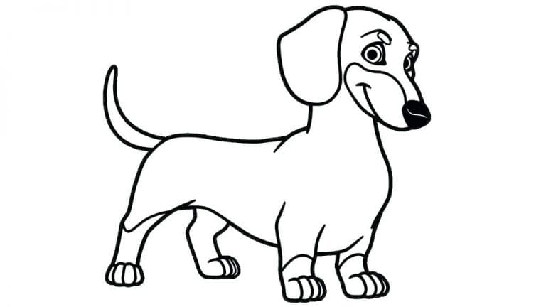 Cute Dachshund Coloring Free Printable Coloring Page