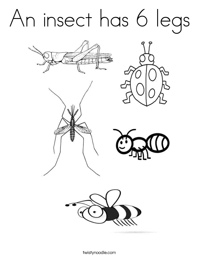 Cute Fly Coloring Page