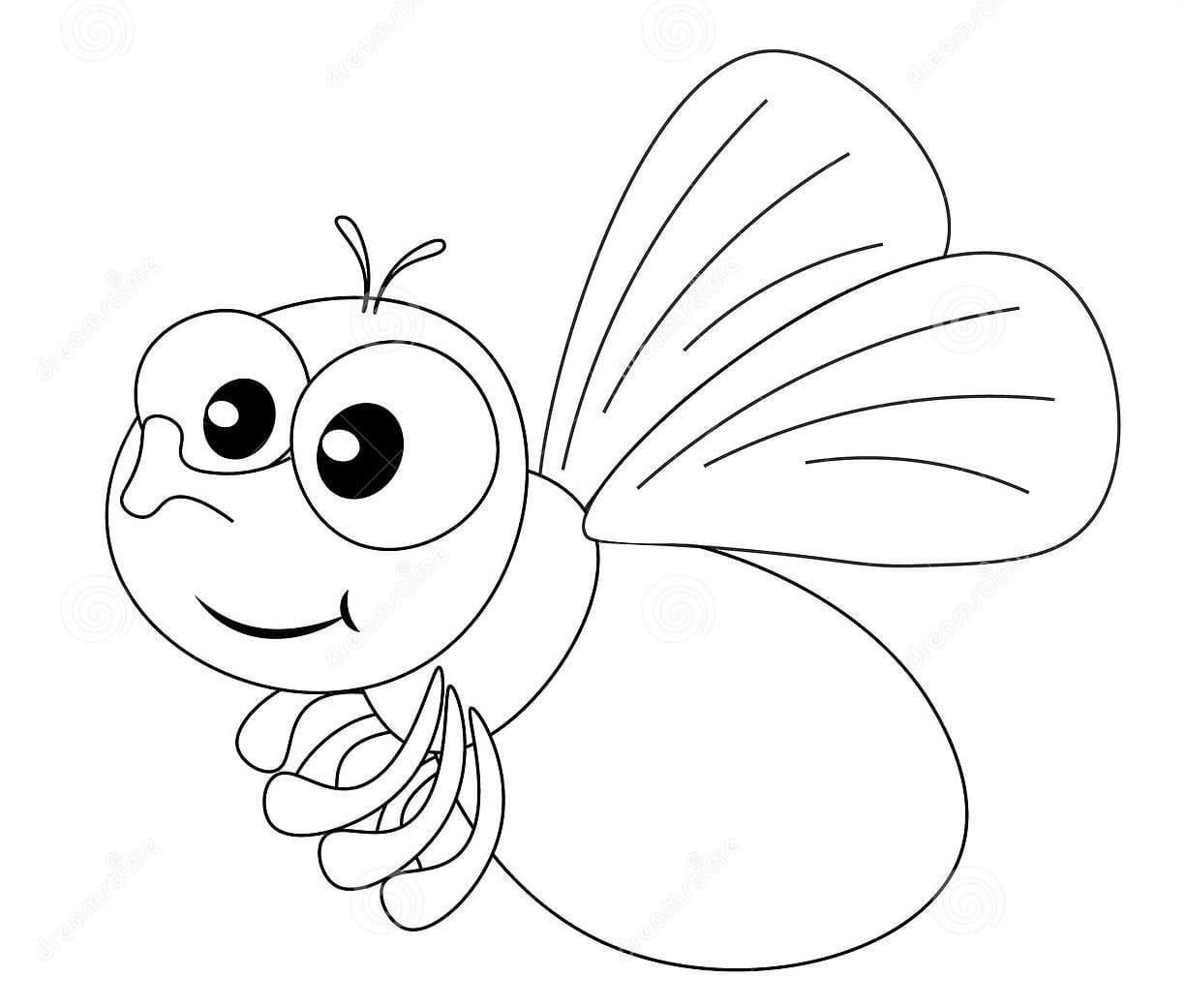 Cute Green Fly Coloring Page