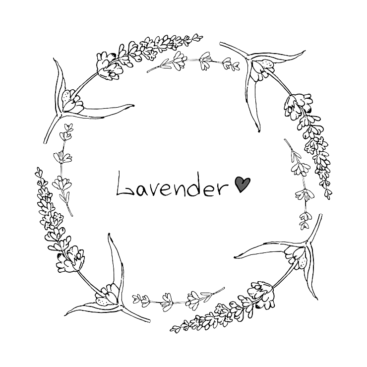 Cute Lavender