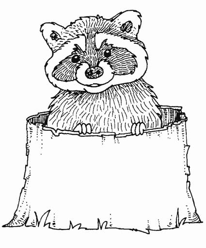 Cute Raccoon Image For Kids Coloring Page