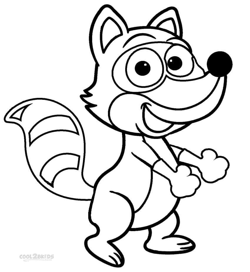 Cute Raccoon Picture For Kids Coloring Page