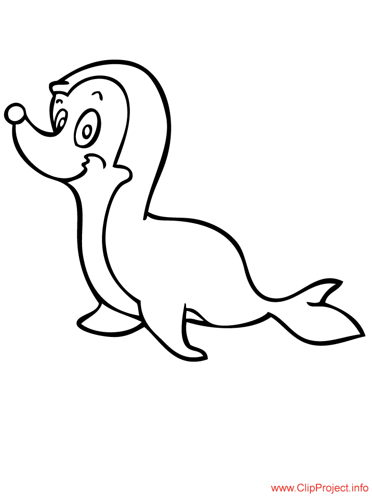 Cute Seal Image Coloring Page