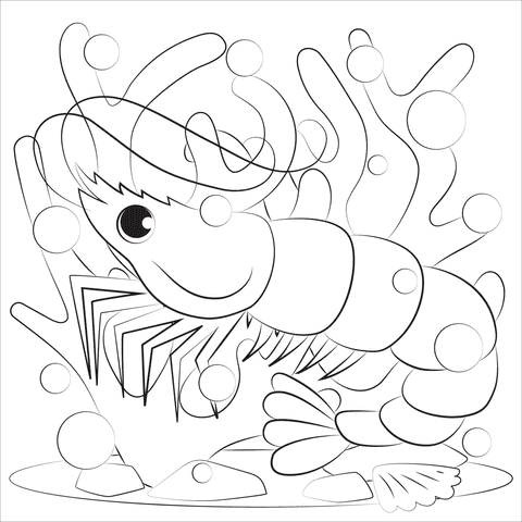 Cute Shrimp Image For Kids Coloring Page
