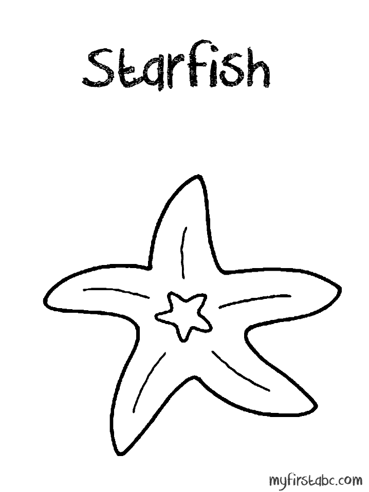 Cute Starfish Image For Kids Coloring Page