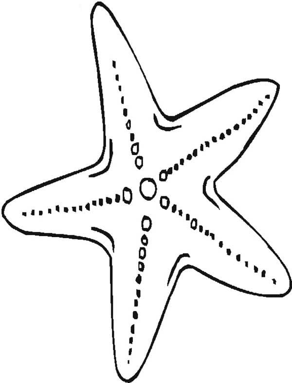 Cute Starfish Picture Coloring Page