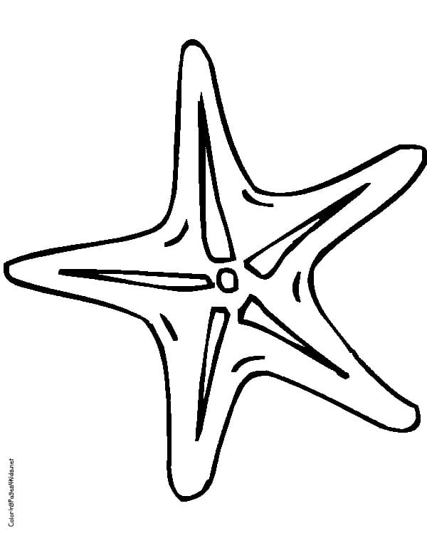 Cute Starfish Coloring Page
