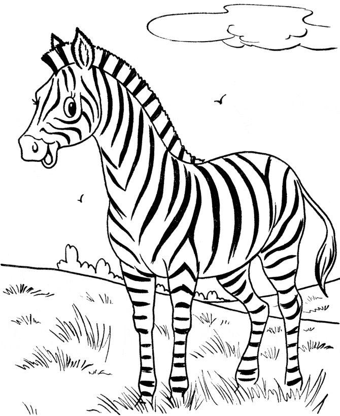 Cute Zebra Free Coloring Page