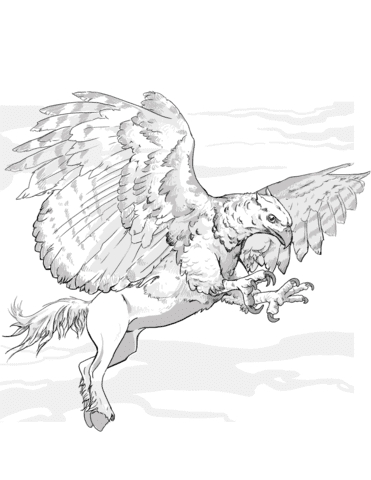 DND Hippogriff Image Coloring Page