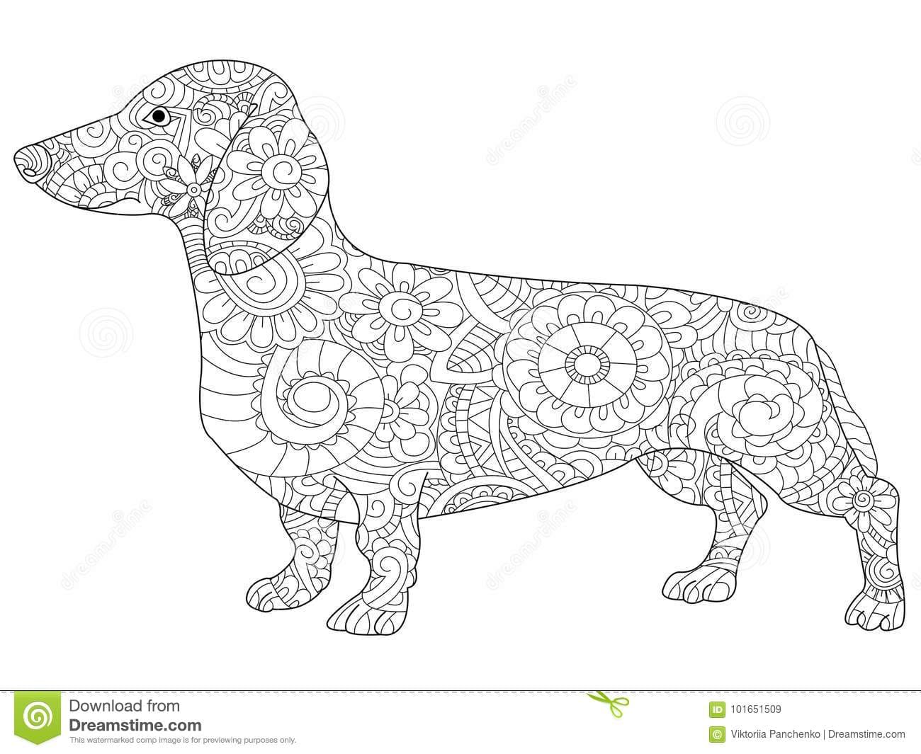 Dachshund Coloring Book For Adults Raster