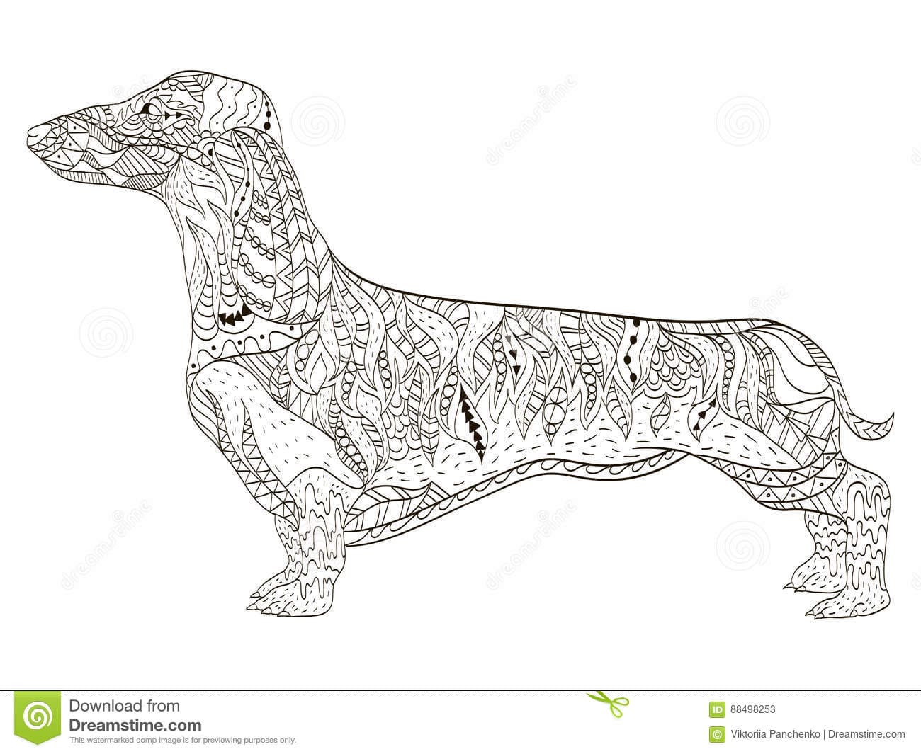 Dachshund Coloring Book For Adults Vector
