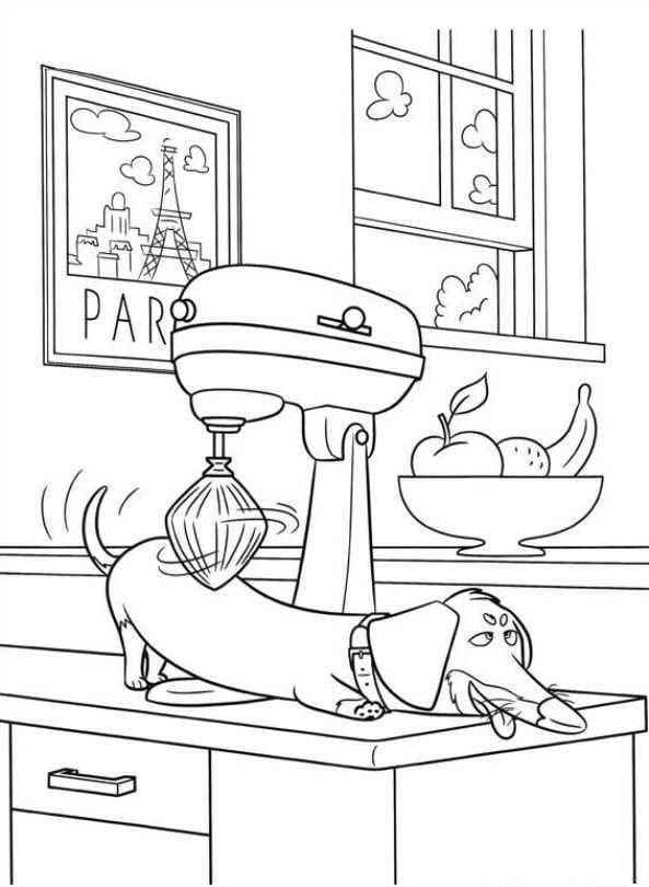 Dachshund Massage Free Printable Coloring Page