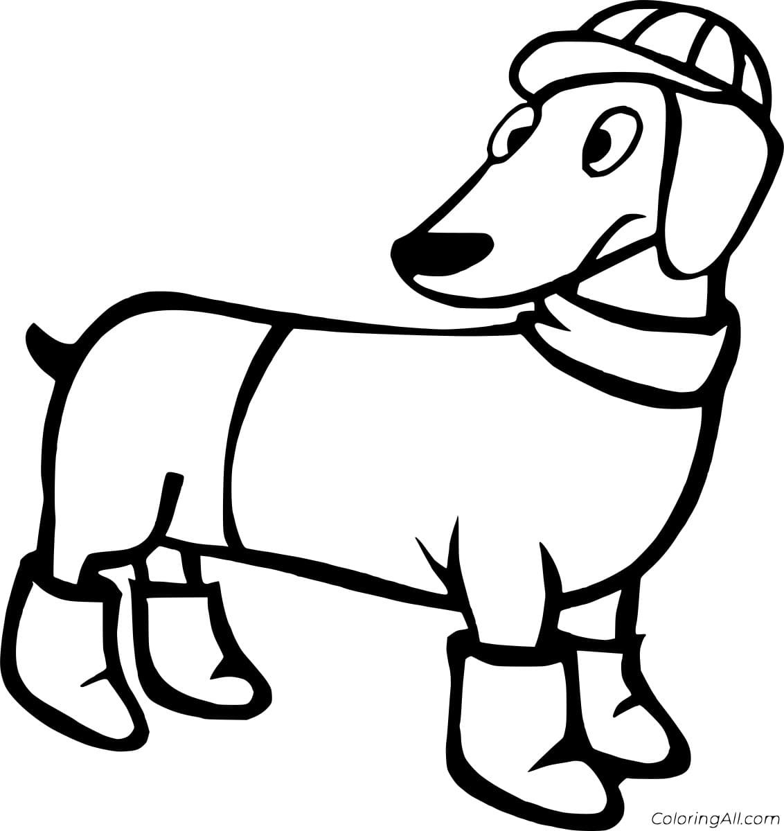 Dachshund in a Cap Free Printable Coloring Page