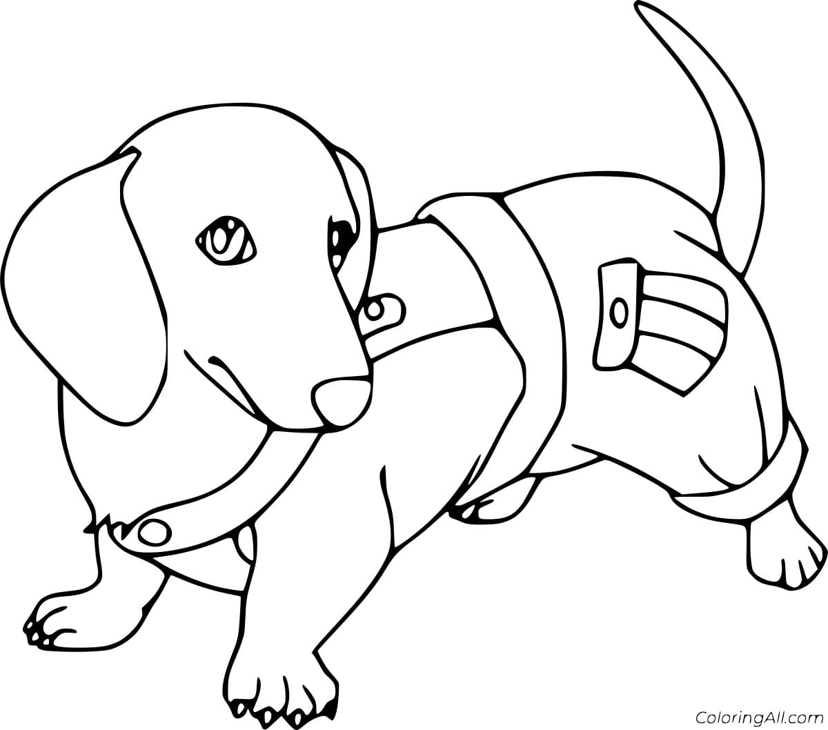 Dachshund In The Pants Coloring Free Printable