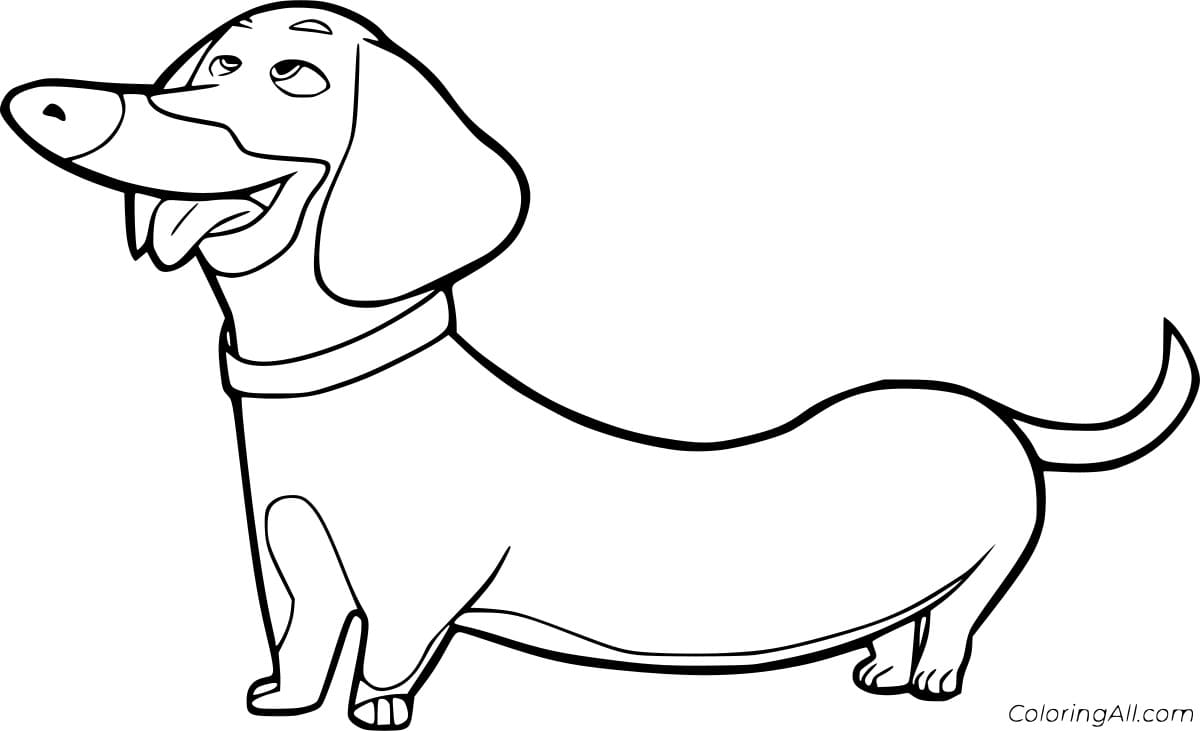Dachshund With Tongue Out Coloring Free Printable Coloring Page