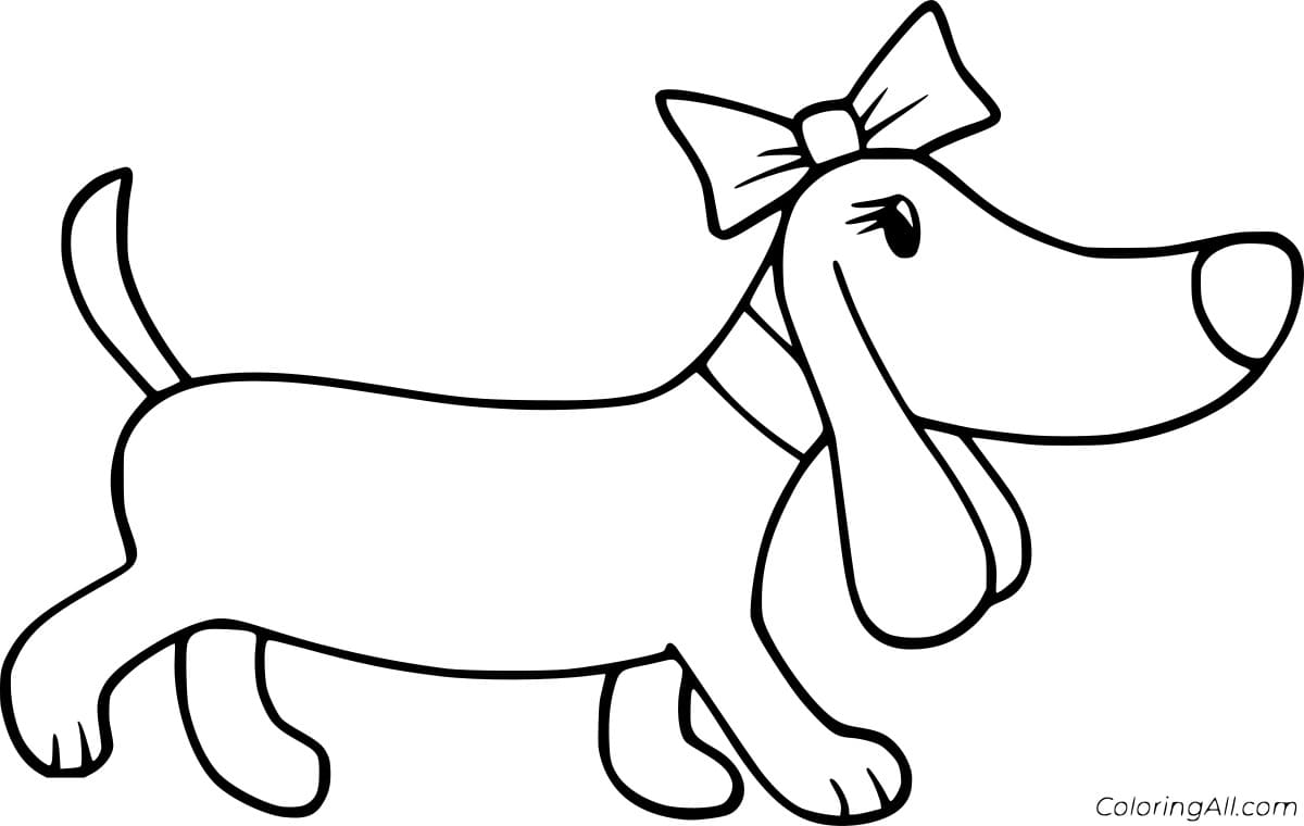 Dachshund with a Bowknot Coloring Free Coloring Page