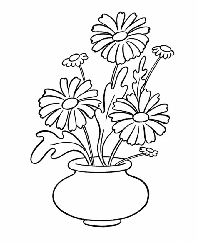 Daisy Flower Image Coloring Page