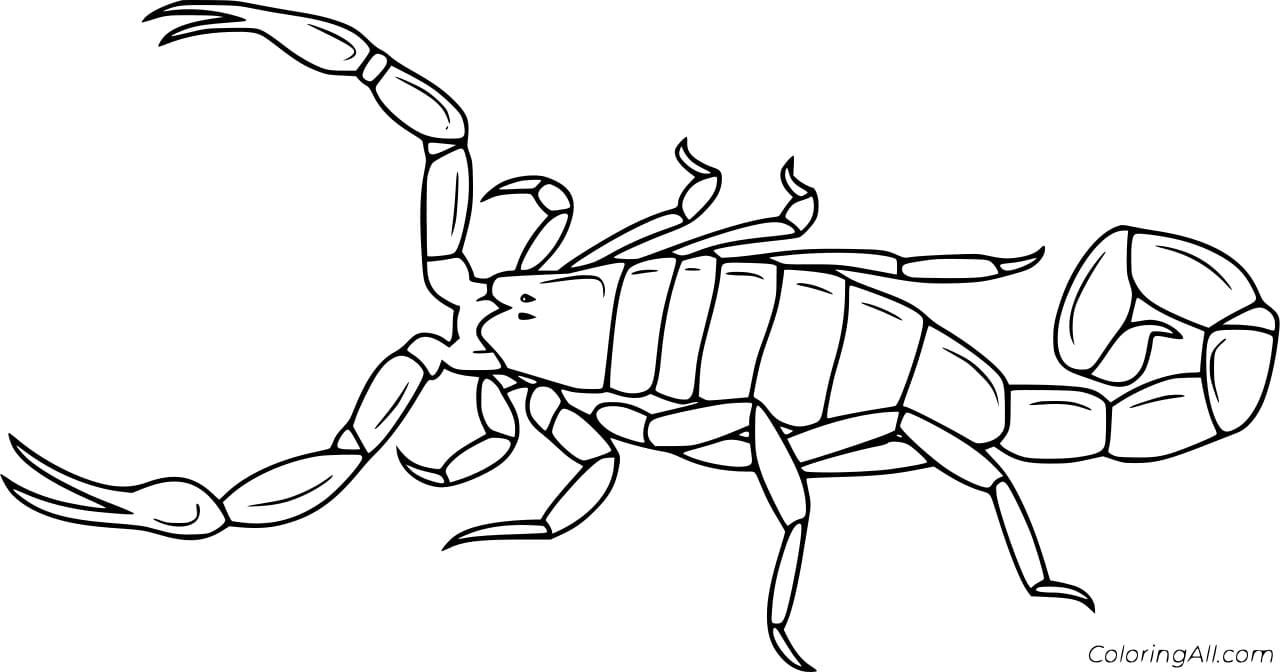 Deathstalker Scorpion Free Printable Coloring Page