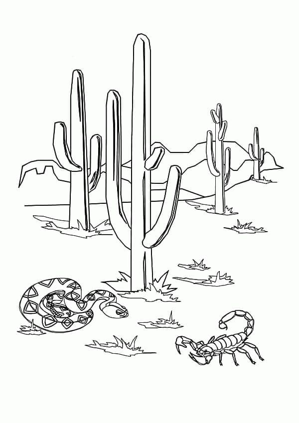 Desert Scorpion and Snake Free Printable Coloring Page