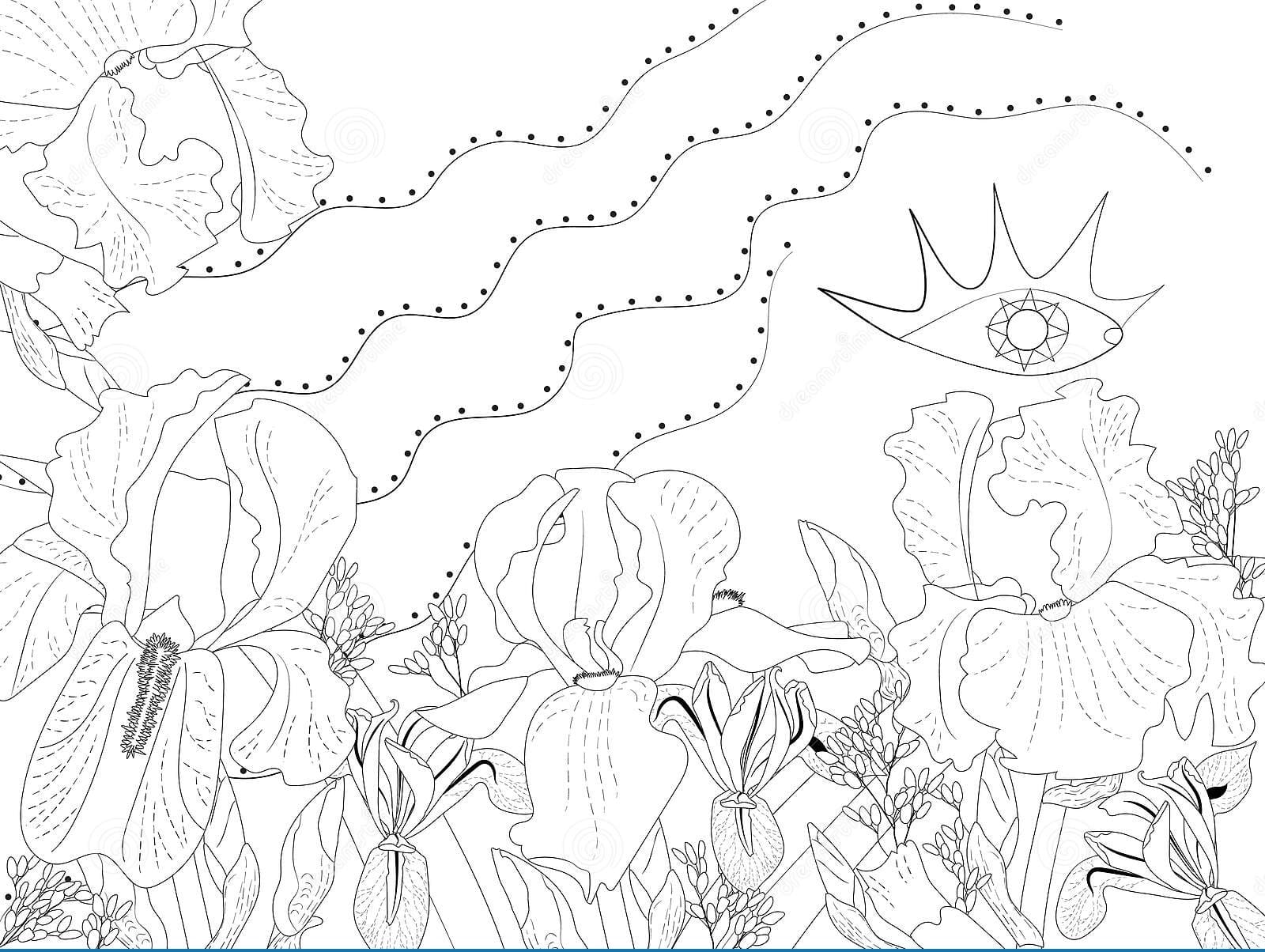 Different Types Of Irises Coloring Page