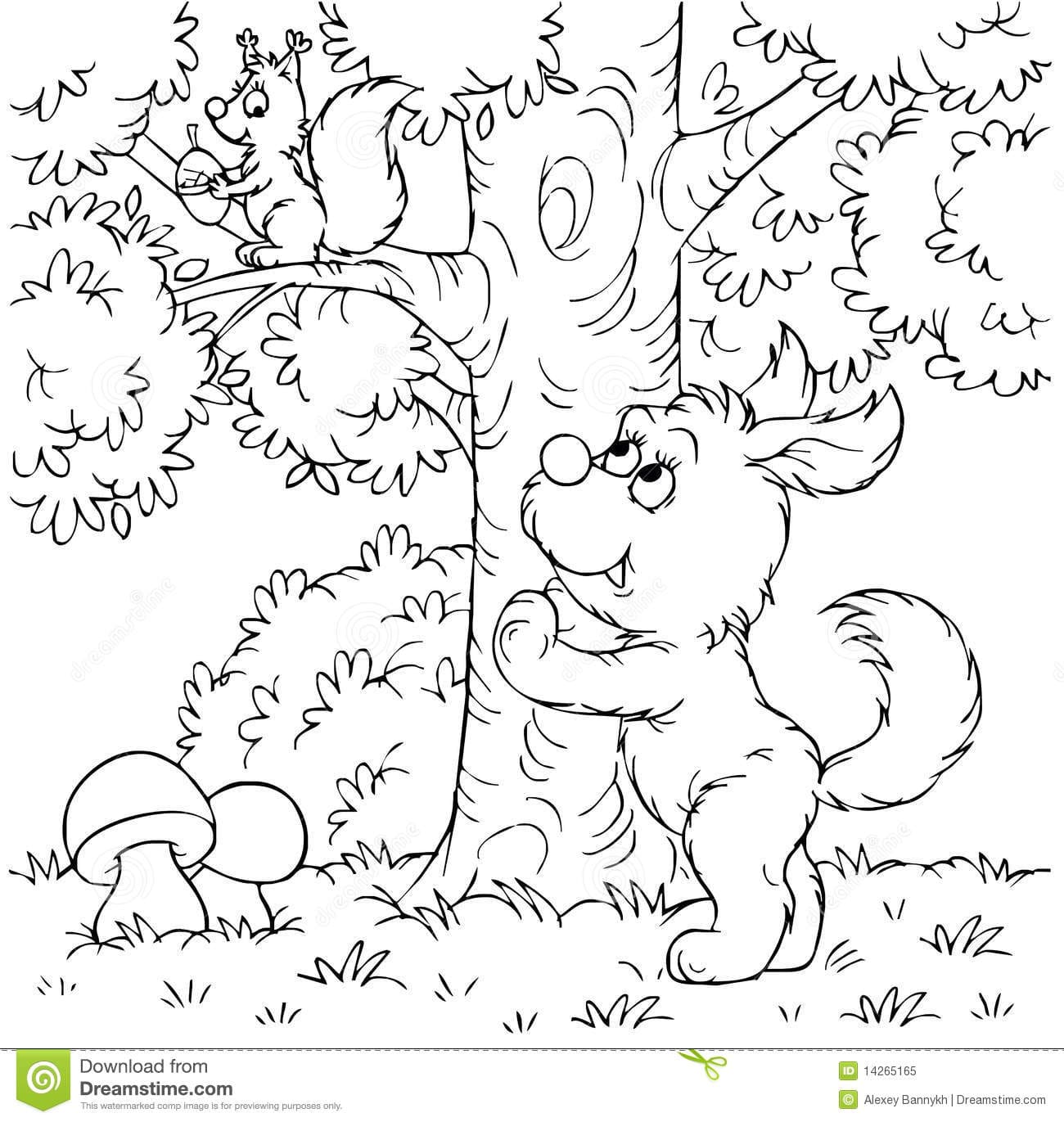 Dog And Squirrel Coloring Page