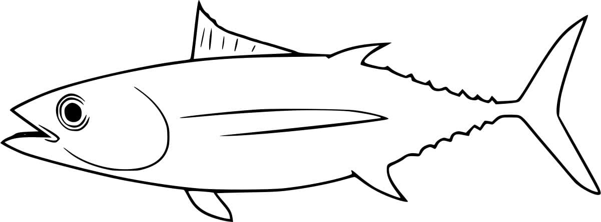 Easy Albacore Tuna Coloring Page