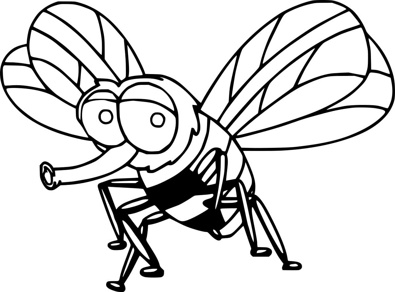 Easy Cartoon Fly Coloring Page