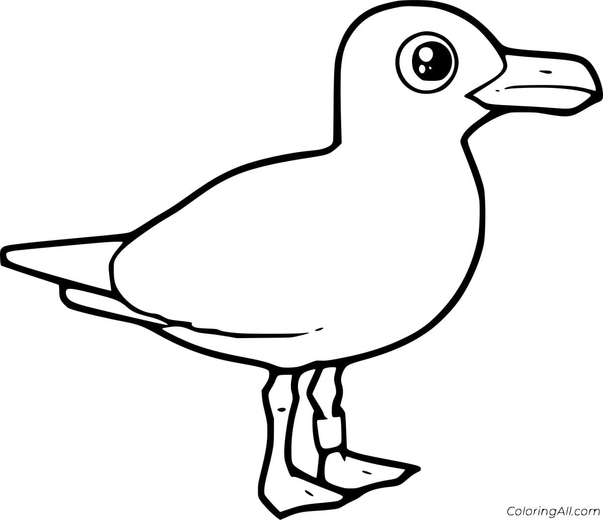 Easy Cartoon Seagull Coloring Page