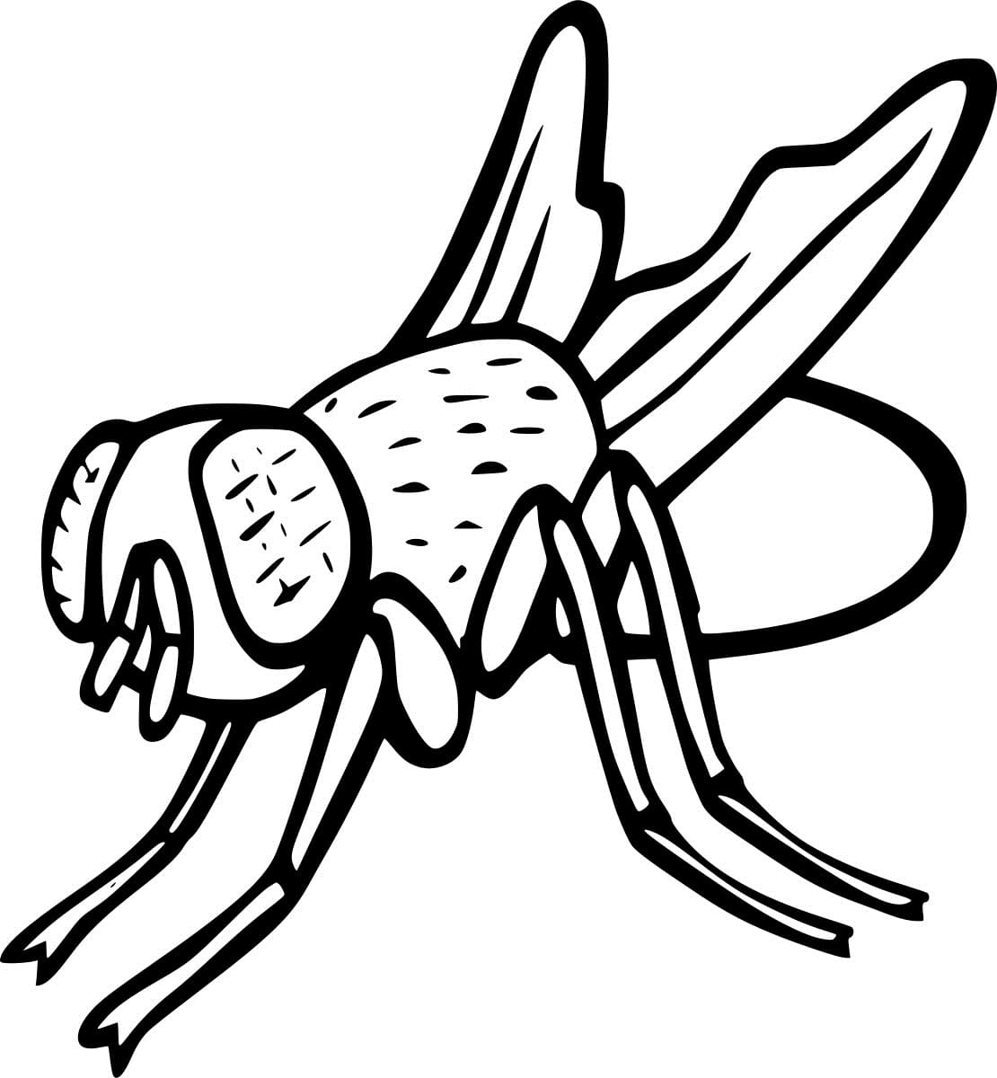 Easy Fly Flying Image Coloring Page