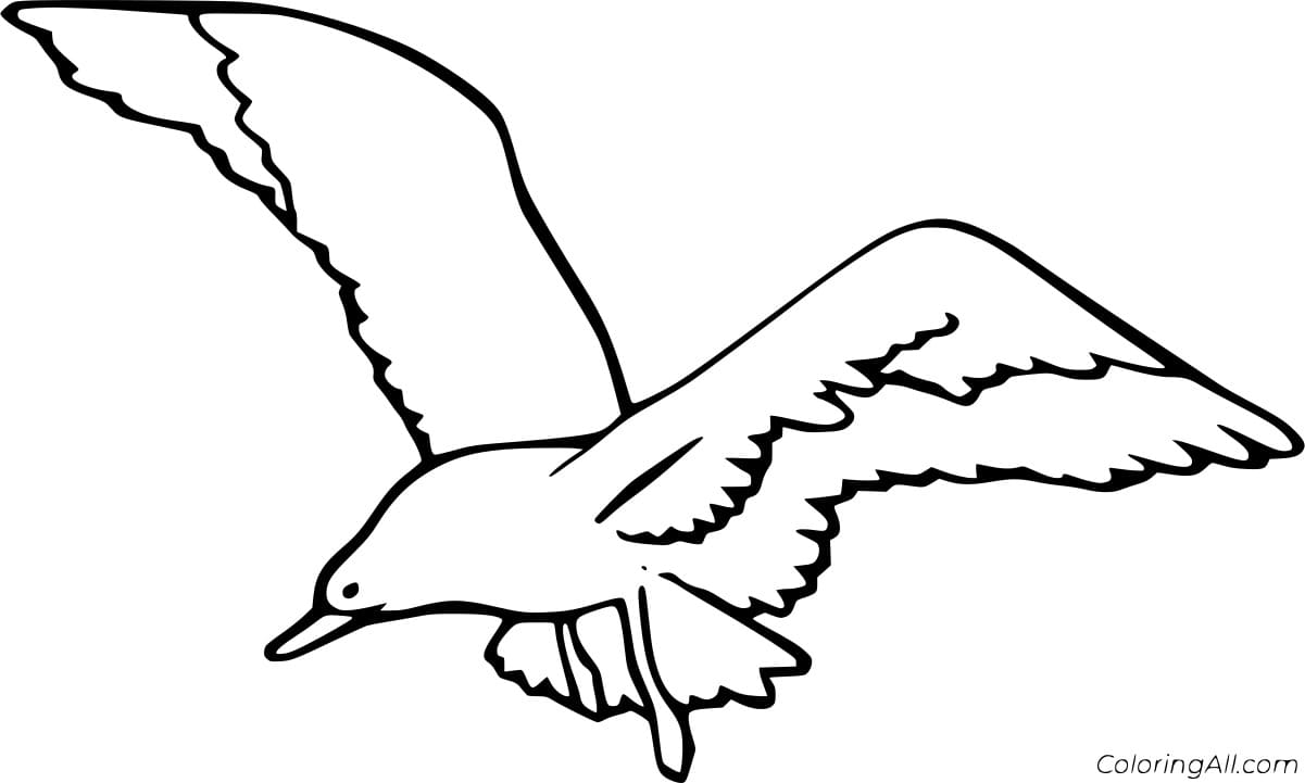 Easy Flying Gull Coloring Page
