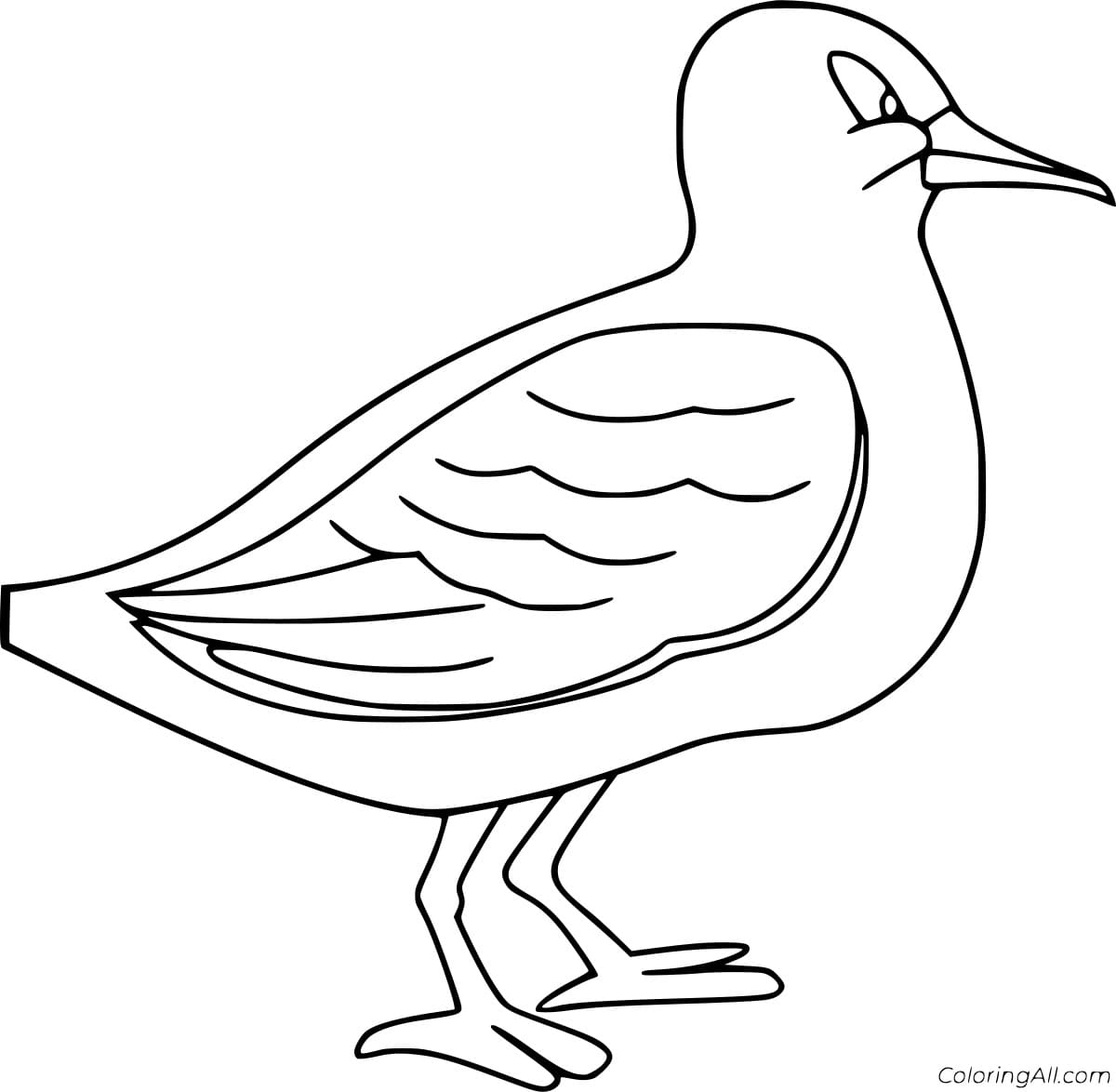 Easy Funny Seagull Coloring Page