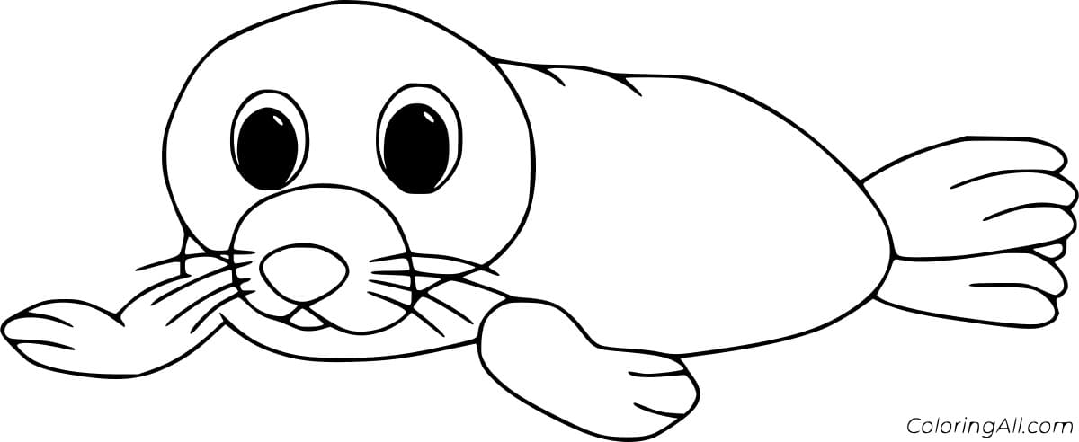 Easy Funny Seal Coloring Page