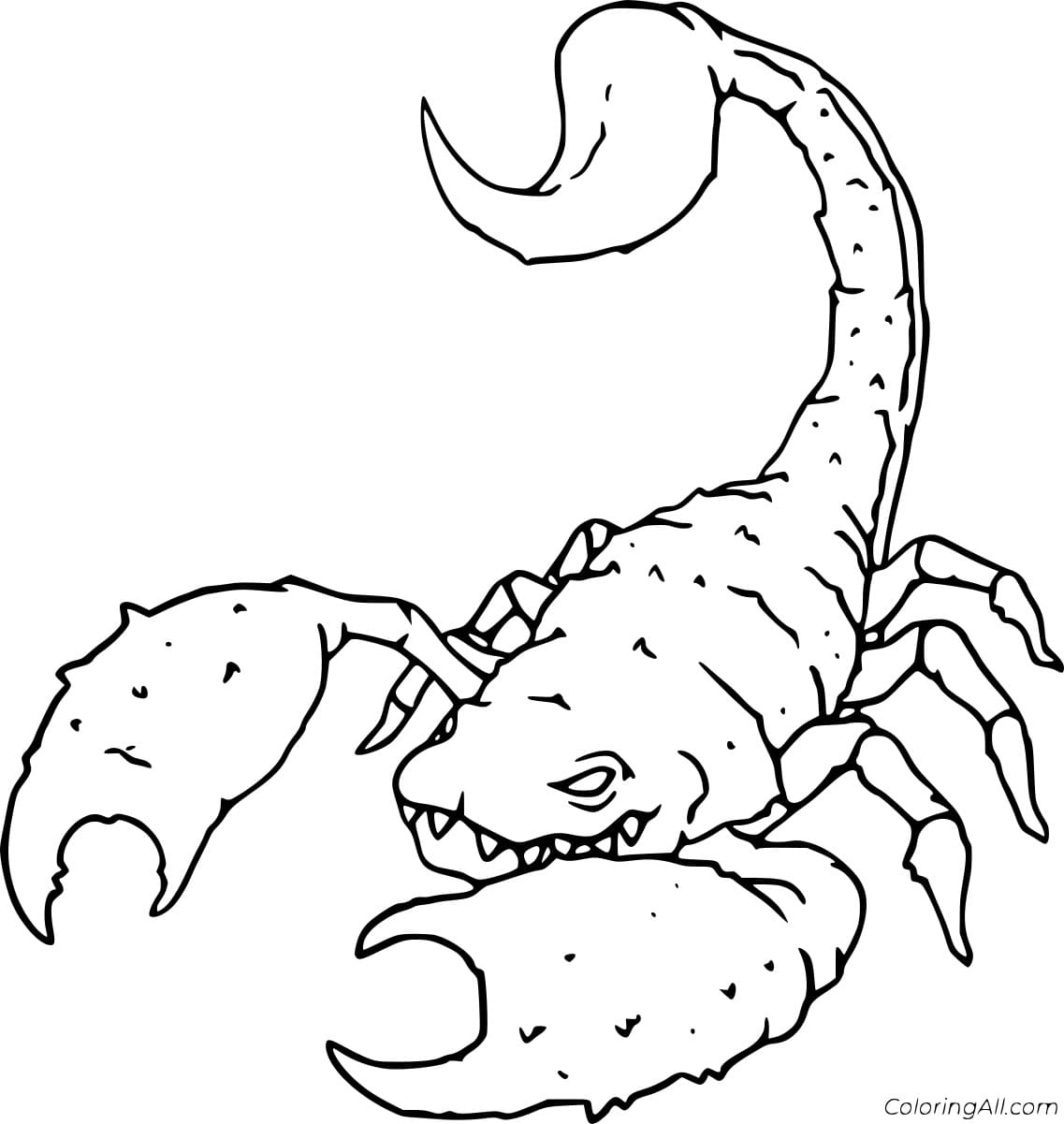 Easy Realistic Scorpion Free Printable Coloring Page