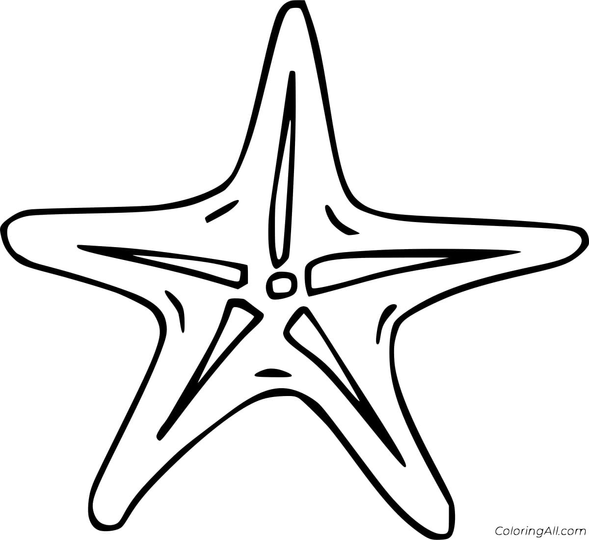 Easy Sea Star Image