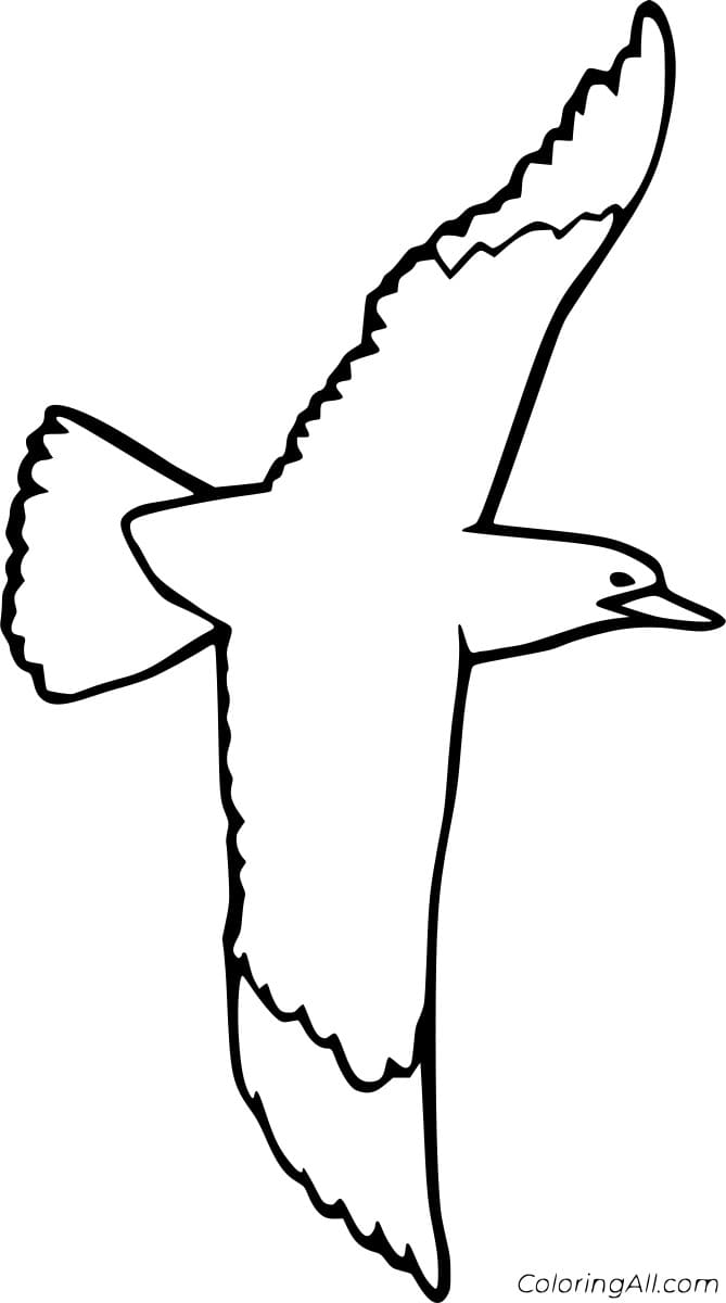 Easy Seagull Flying Coloring Page