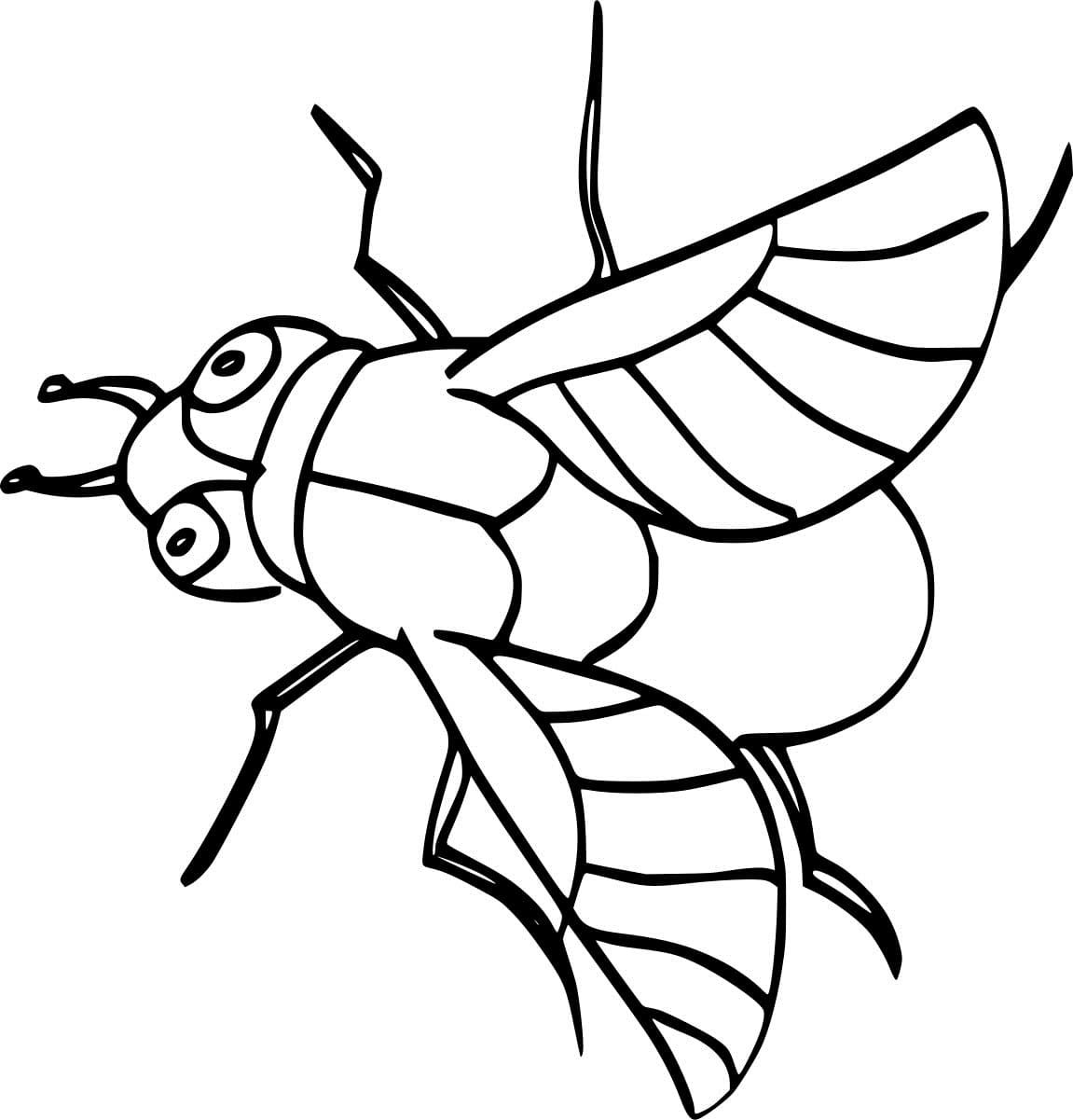 Easy Simple Fly Image