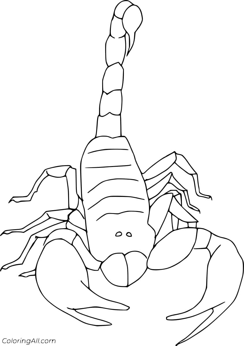 Easy Simple Scorpion Free Printable Coloring Page