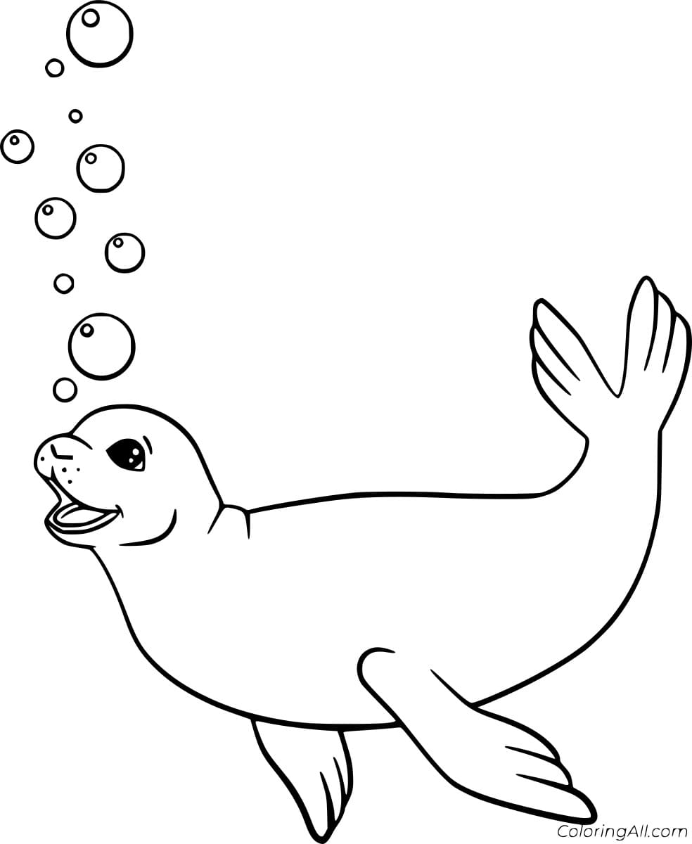 Easy Swimming Seal Coloring Page