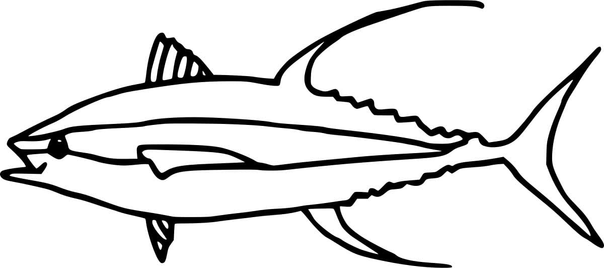 Easy Yellowfin Tuna Coloring Page