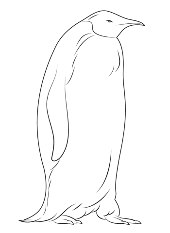 Emperor Penguin Picture Coloring Page