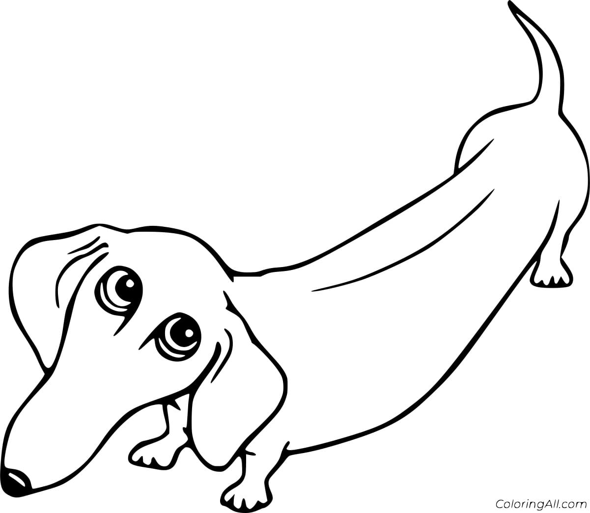 Fat Dachshund Free Printable Coloring Page